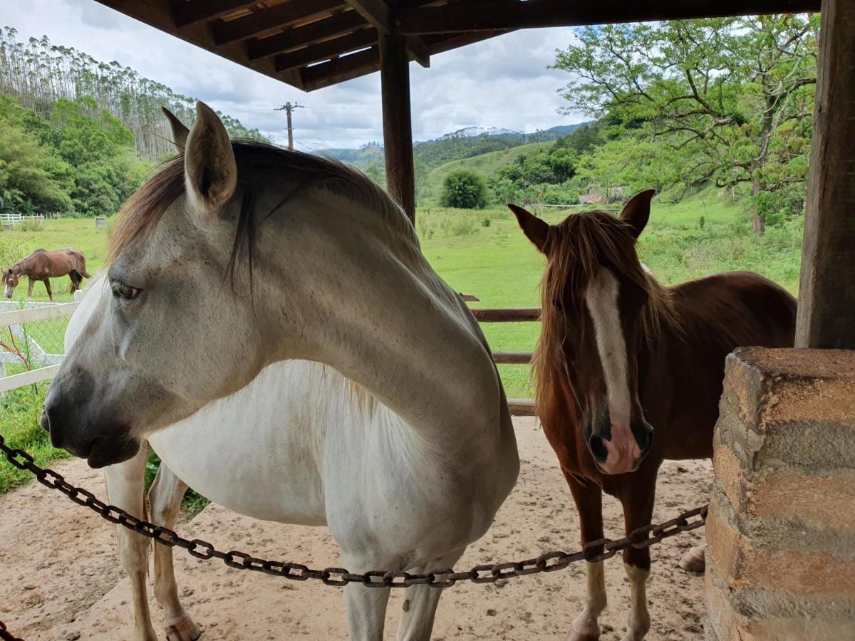 Espaco Casa Na Rocha São José dos Campos エクステリア 写真